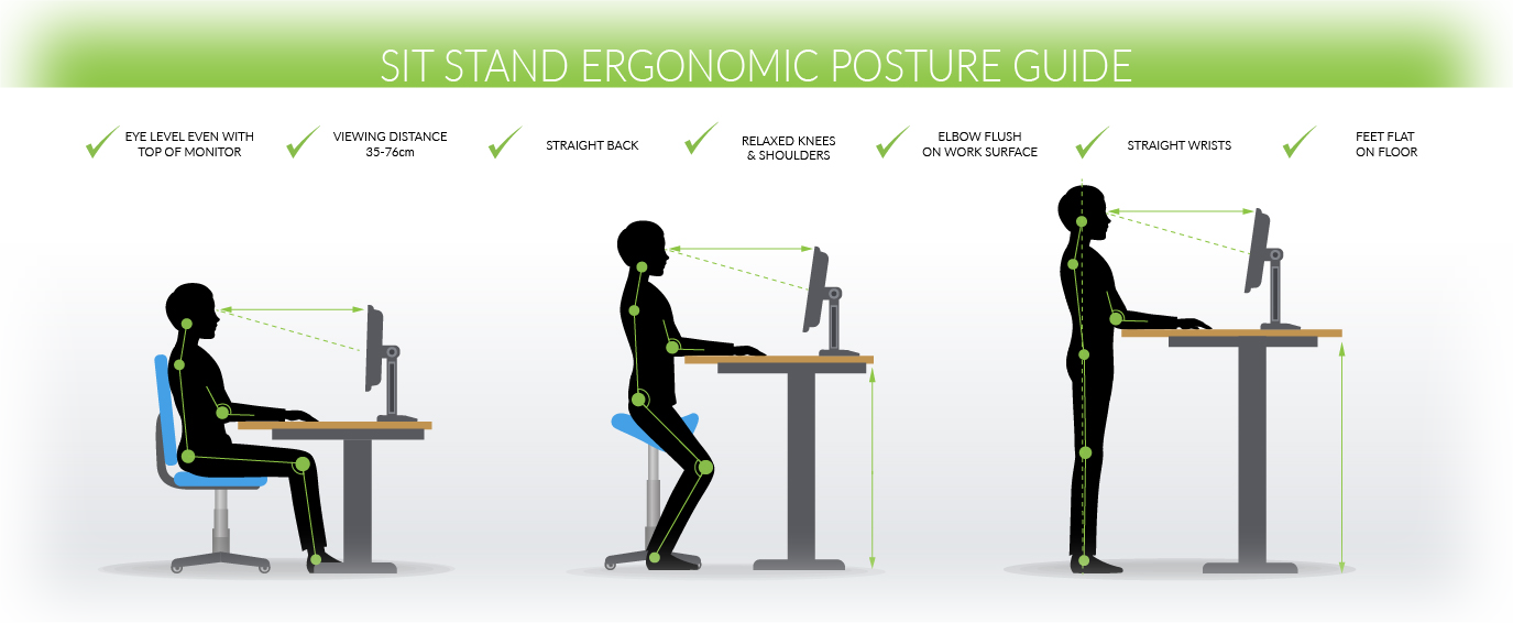Ergonomics Posture Guide